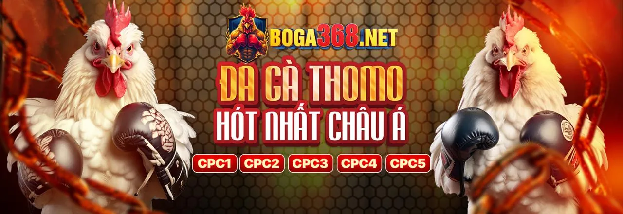 Đá gà trực tuyến hấp dẫn tại WIN55