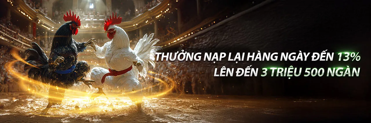 Hình ảnh banner blog win55 với ưu đãi tặng 55k